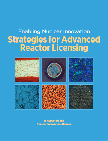 Strategies for Advanced Reactor Licensing